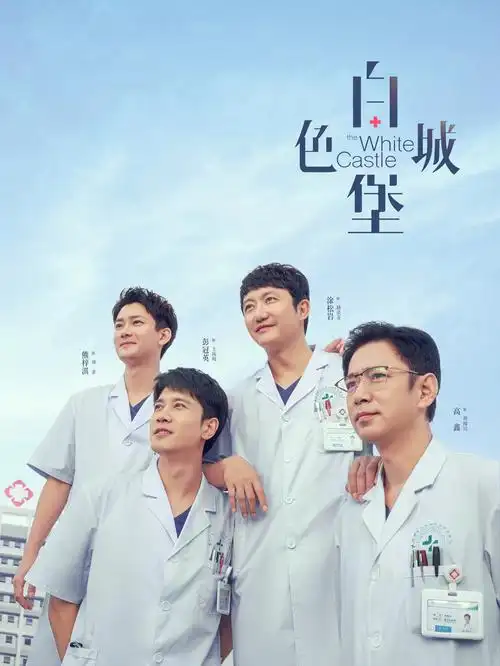 沉默的证词 电视剧全集免费观看